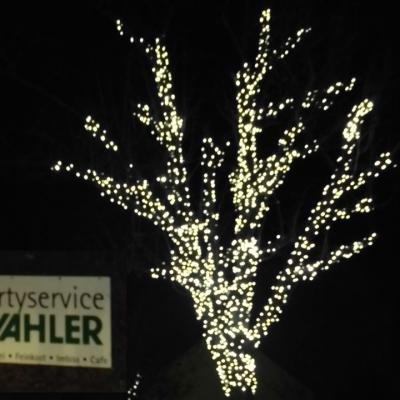 Partyservice Wahler