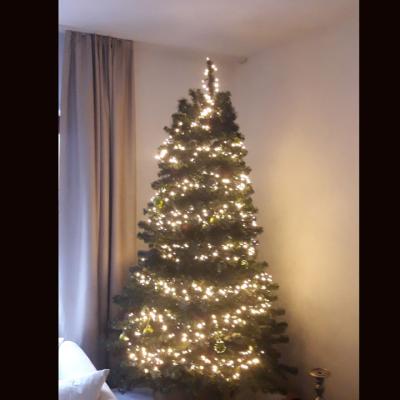 Weihnachtsbaum 180 Cm