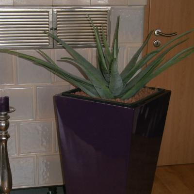 Agave Kuenstlich