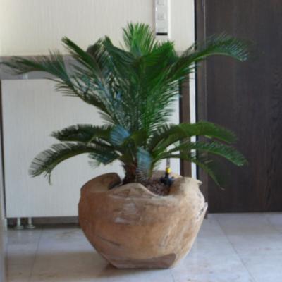 Imgp0033